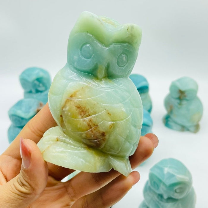 11 Pieces Caribbean Calcite Owl Carving