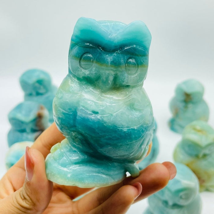 11 Pieces Caribbean Calcite Owl Carving