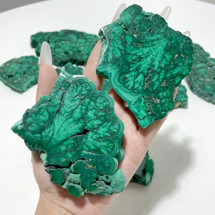 11 Pieces High Quality Beautiful Malachite Slab