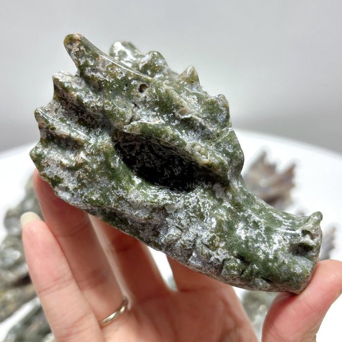 11 Pieces Large Colorful Moss Agate Dragon Head Carving