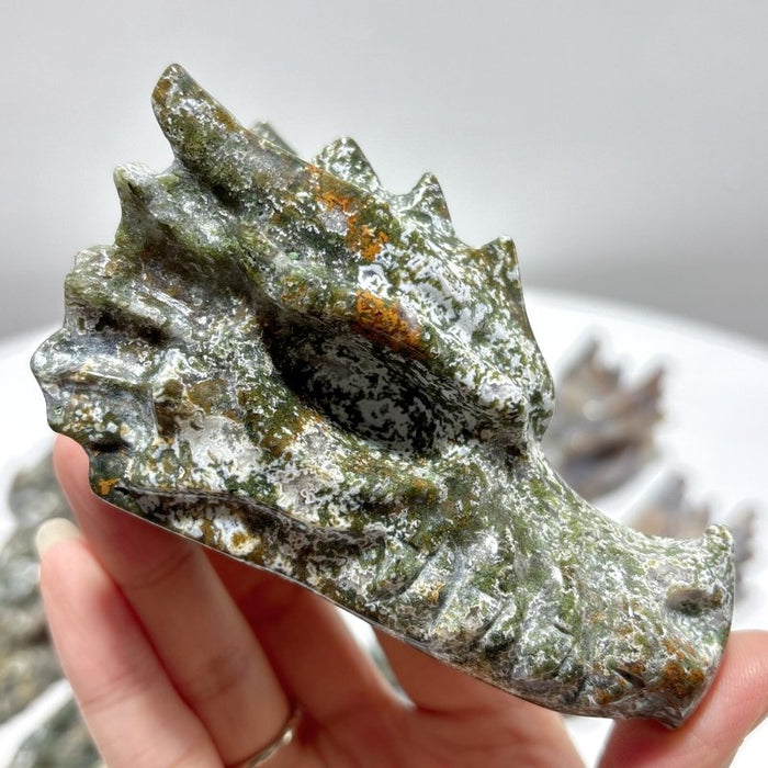 11 Pieces Large Colorful Moss Agate Dragon Head Carving