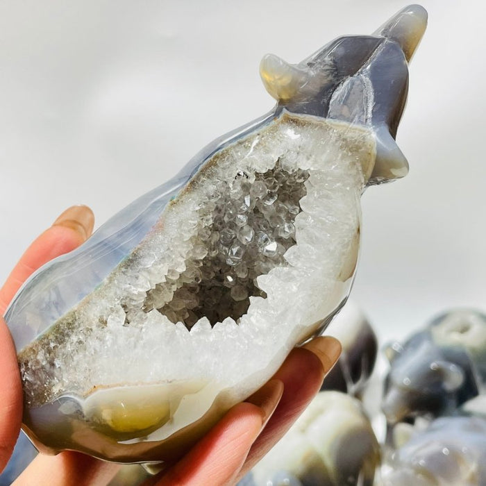 12 Pieces Beautiful Geode Druzy Agate Bear Carving
