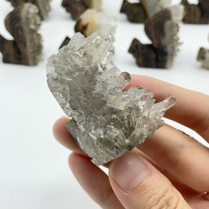 12 Pieces Clear Quartz Cluster Squirrel Carving