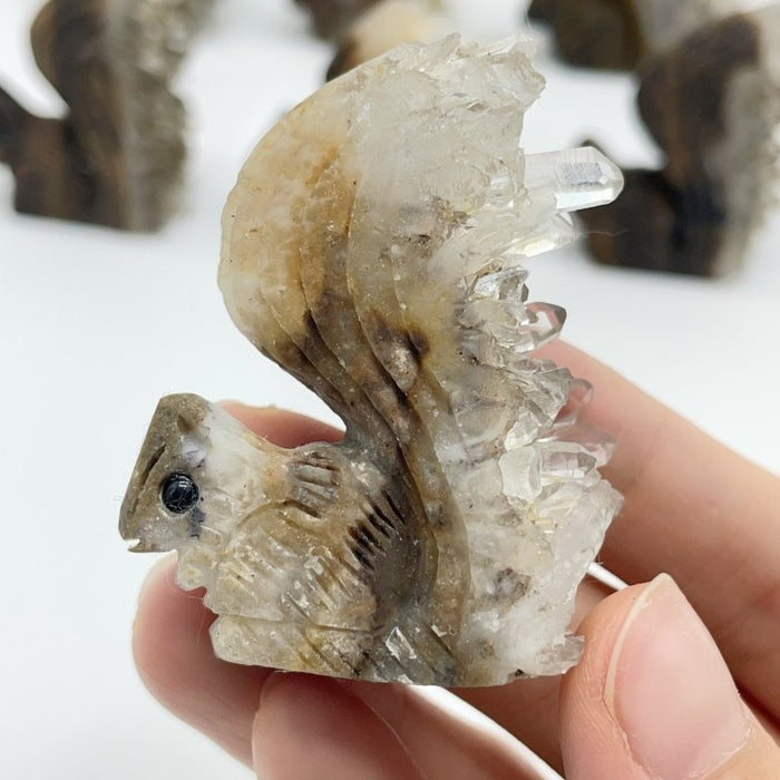 12 Pieces Clear Quartz Cluster Squirrel Carving