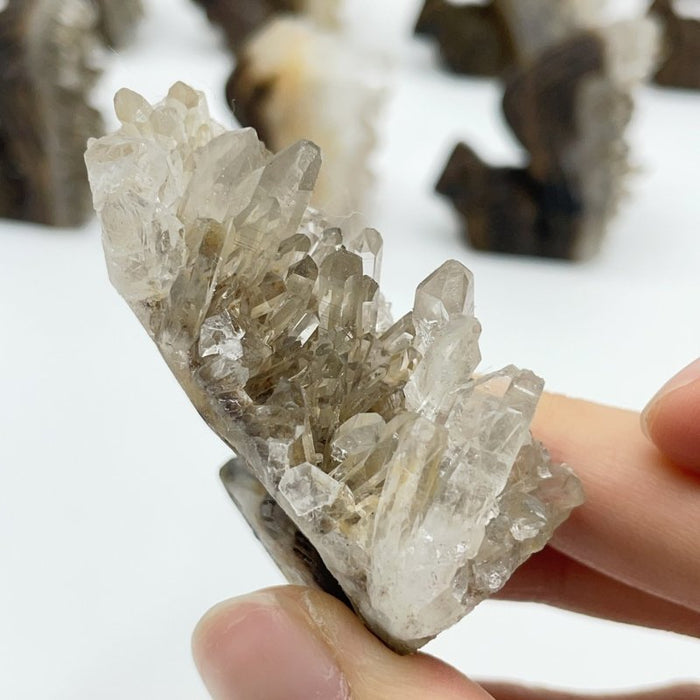 12 Pieces Clear Quartz Cluster Squirrel Carving