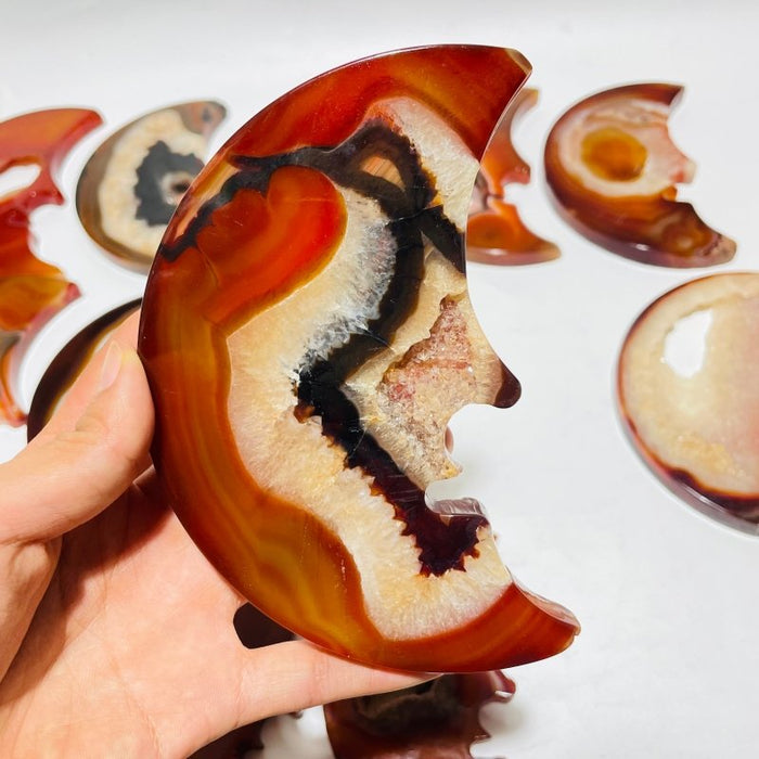 12 Pieces Large Carnelian Moon Face Carving