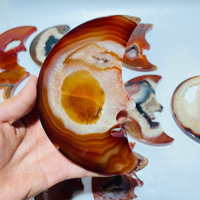 12 Pieces Large Carnelian Moon Face Carving