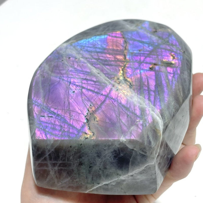 12 Pieces Large Purple Labradorite Free Form