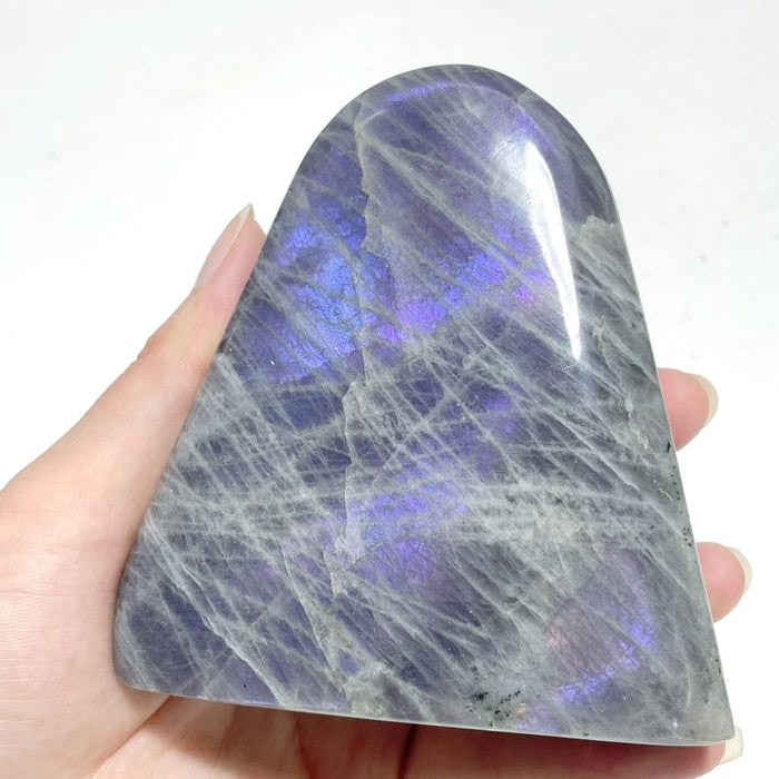 12 Pieces Large Purple Labradorite Free Form