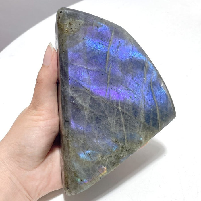 12 Pieces Large Purple Labradorite Free Form