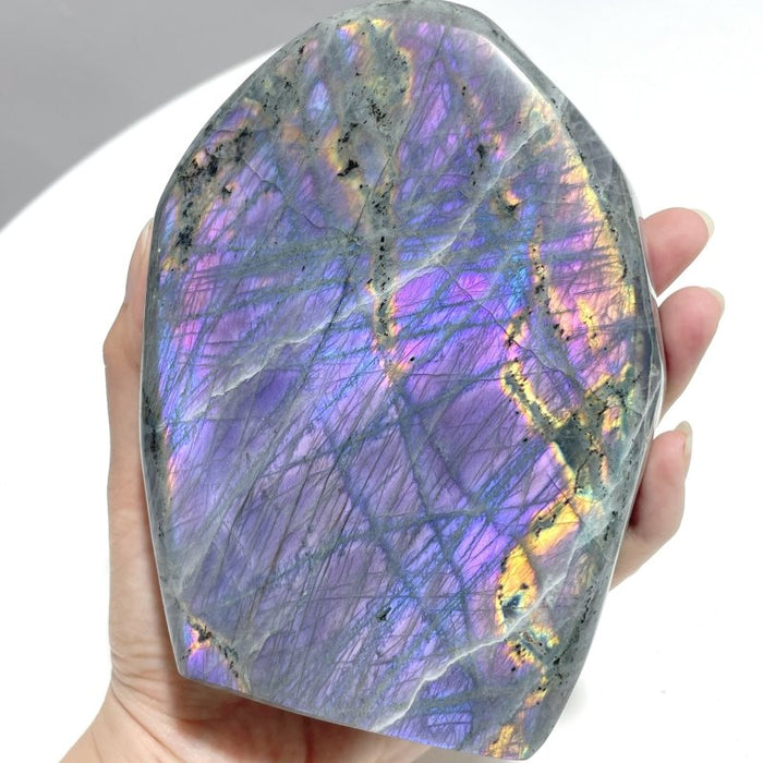12 Pieces Large Purple Labradorite Free Form