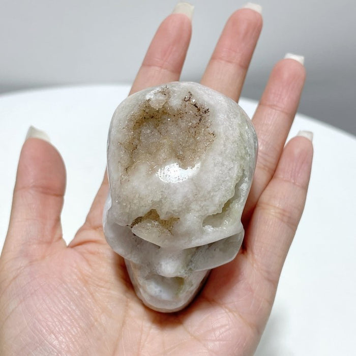 12 Pieces Sakura Agate Skull Carving
