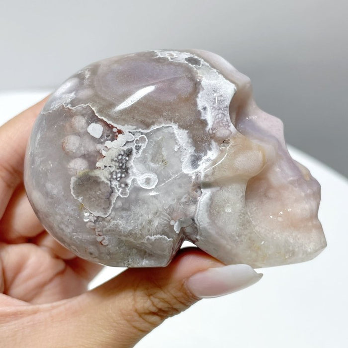 12 Pieces Sakura Agate Skull Carving