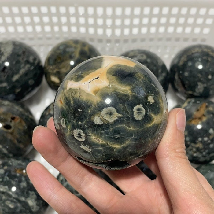 13 Pieces Beautiful Green Sea Jasper Crystal Spheres