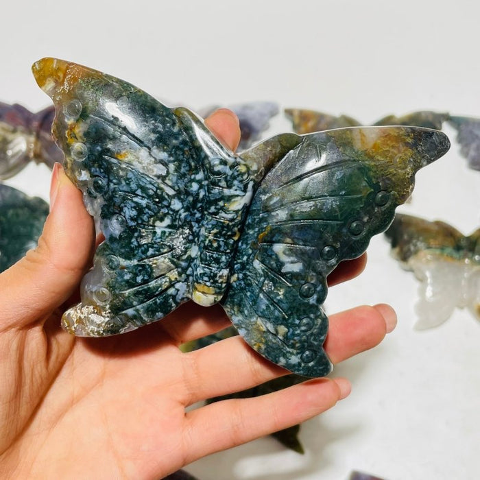 13 Pieces Colourful Ocean Jasper Large Butterfly Carving