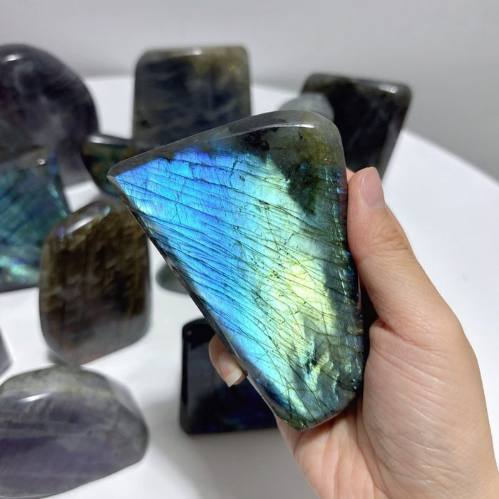 13 Pieces High Quality Labradorite Free Form