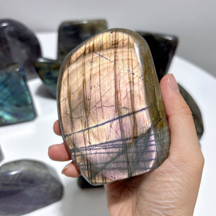 13 Pieces High Quality Labradorite Free Form