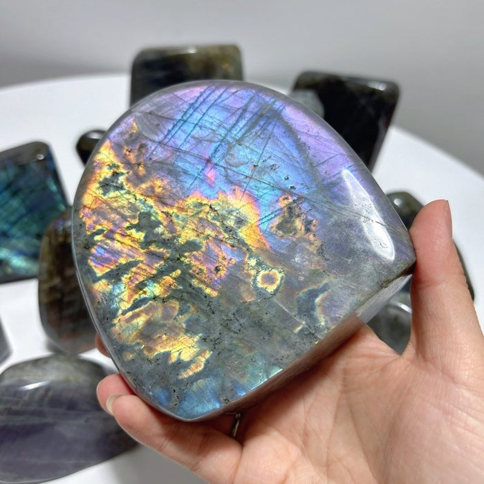 13 Pieces High Quality Labradorite Free Form