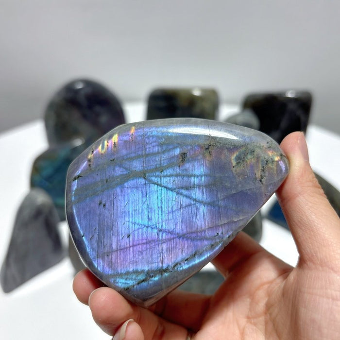 13 Pieces High Quality Labradorite Free Form