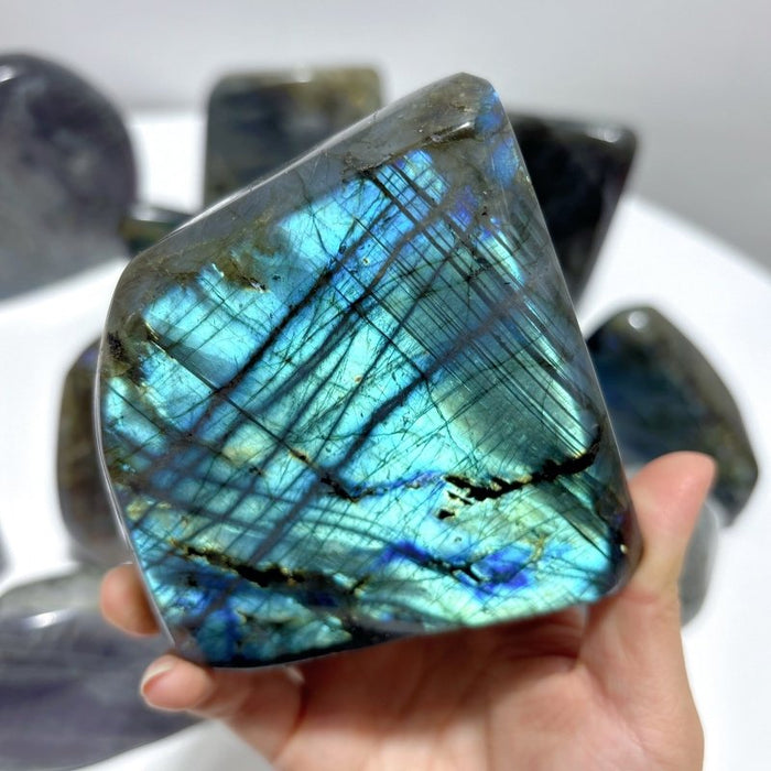 13 Pieces High Quality Labradorite Free Form