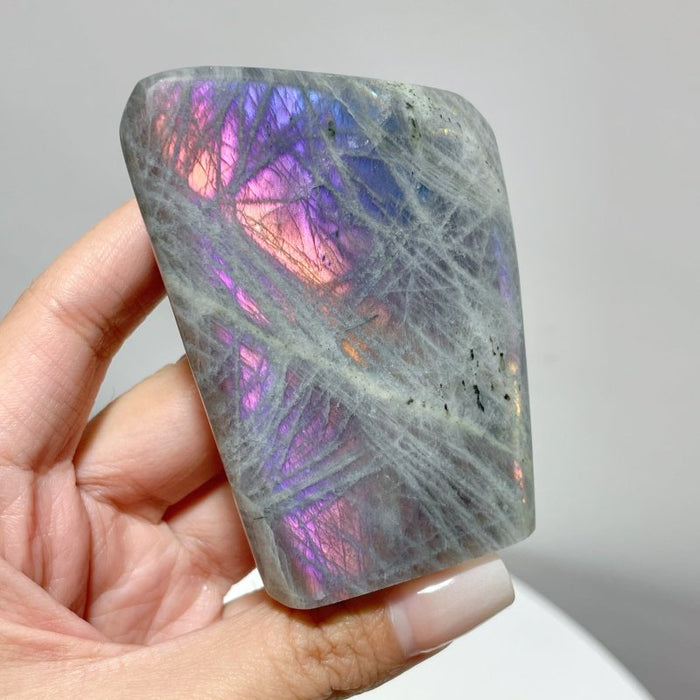 13 Pieces Purple Labradorite High Quality Polished Large Free Form
