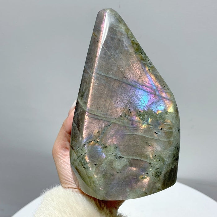 13 Pieces Purple Labradorite High Quality Polished Large Free Form