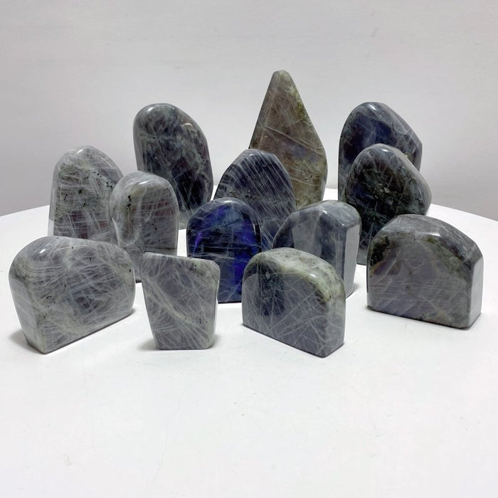 13 Pieces Purple Labradorite High Quality Polished Large Free Form