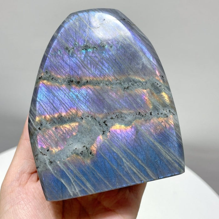 13 Pieces Purple Labradorite High Quality Polished Large Free Form