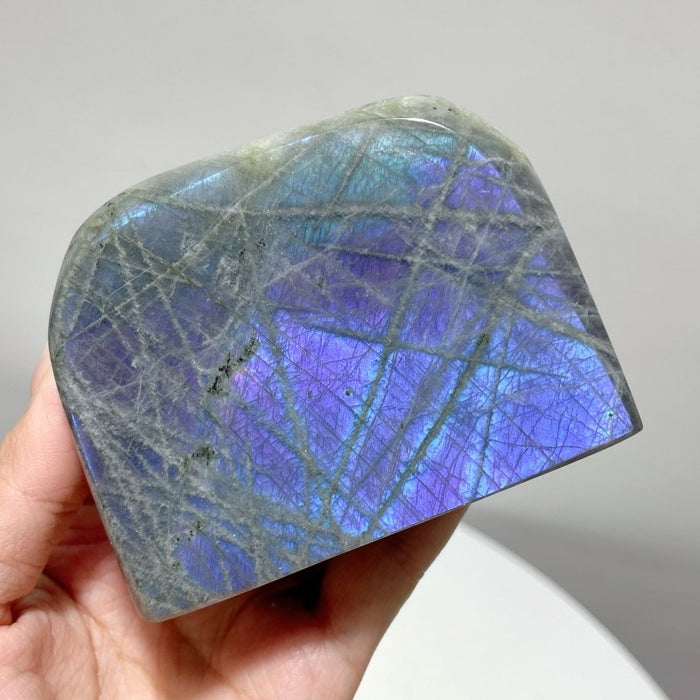 13 Pieces Purple Labradorite High Quality Polished Large Free Form