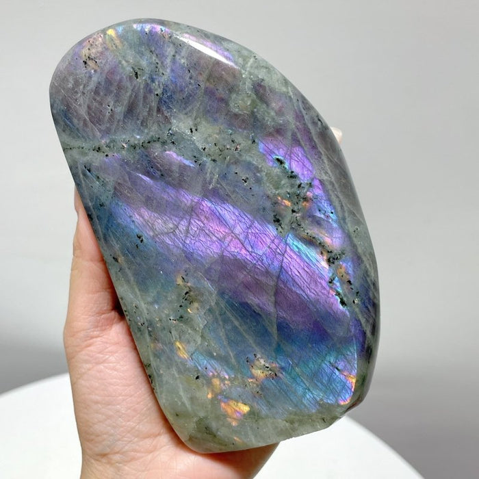 13 Pieces Purple Labradorite High Quality Polished Large Free Form