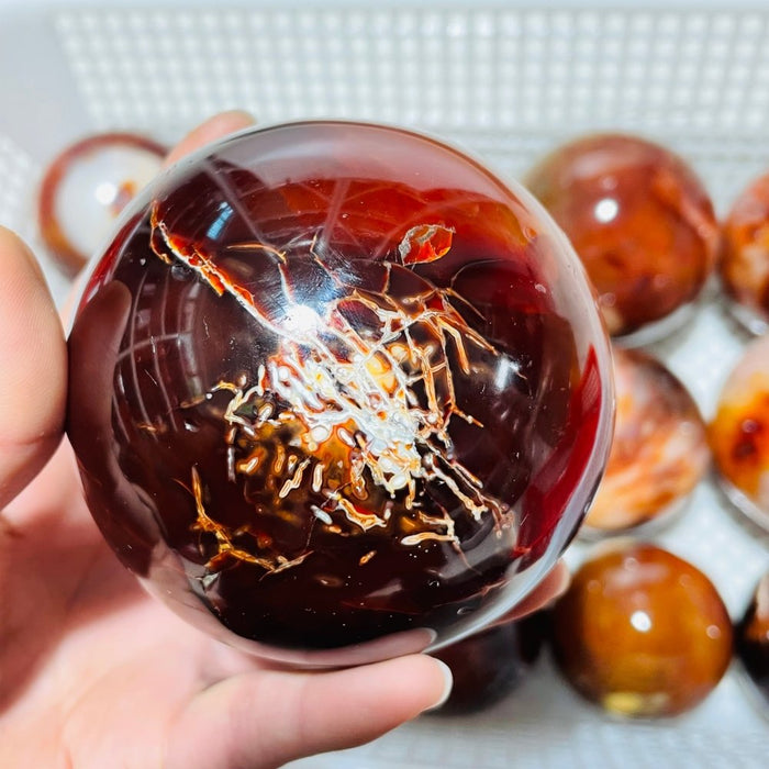 13 Pieces Large Carnelian Stone Spheres