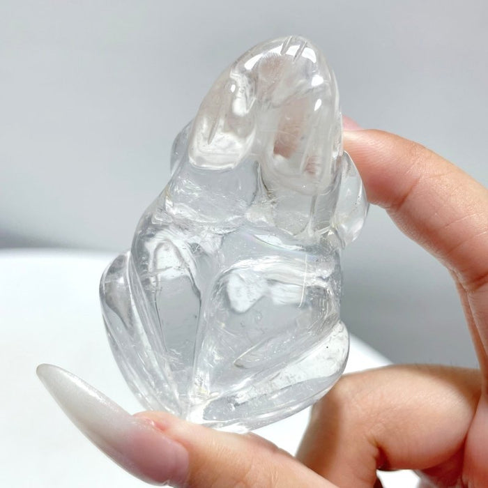 14 Pieces Clear Quartz Frog Carving