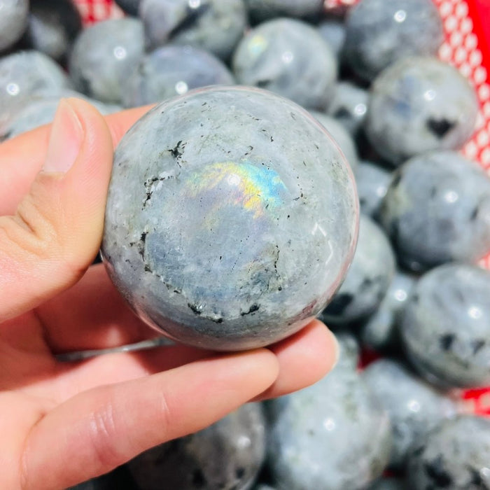 1.5-2.3in Labradorite Spheres Ball Wholesale