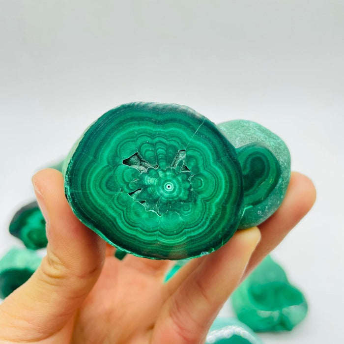 15 Pieces Polished Malachite