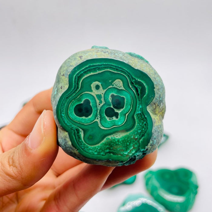 15 Pieces Polished Malachite