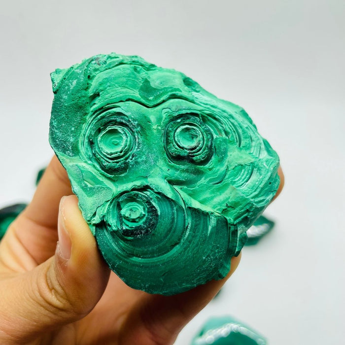 15 Pieces Polished Malachite