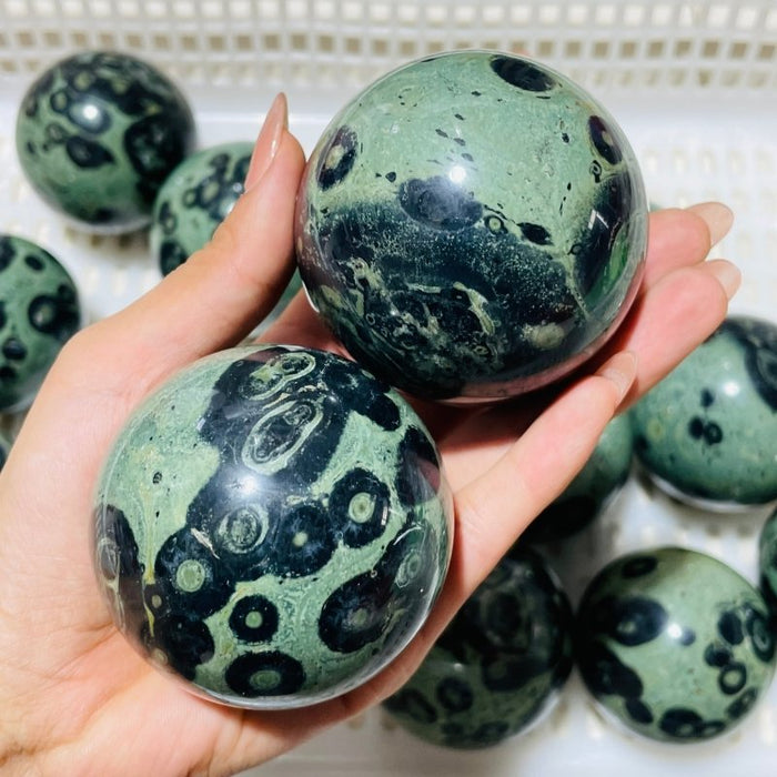 16 Pieces Kambaba Jasper Spheres