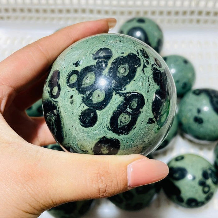 16 Pieces Kambaba Jasper Spheres