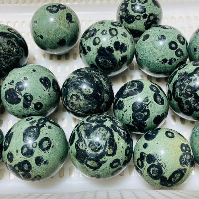 16 Pieces Kambaba Jasper Spheres