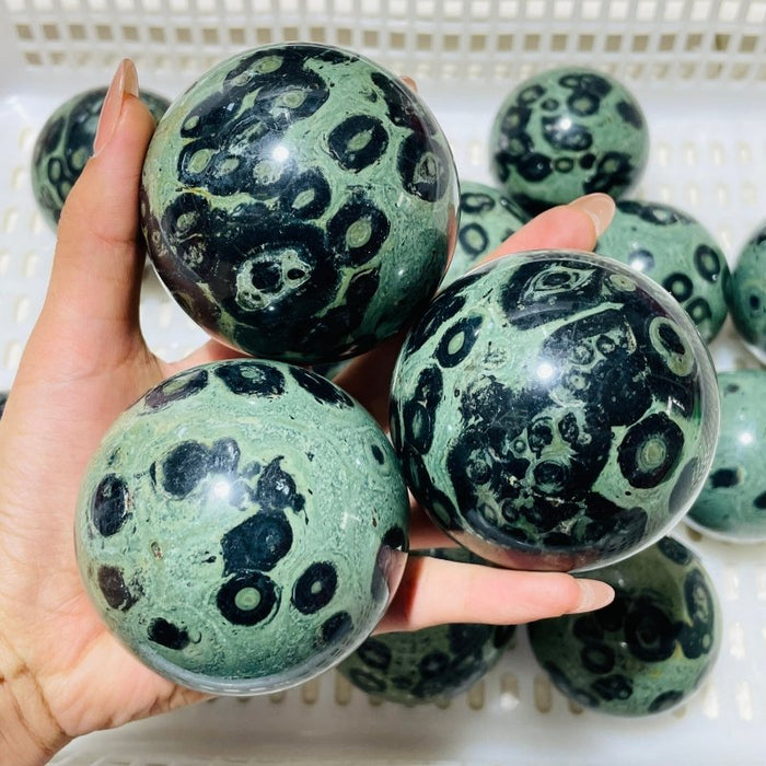 16 Pieces Kambaba Jasper Spheres