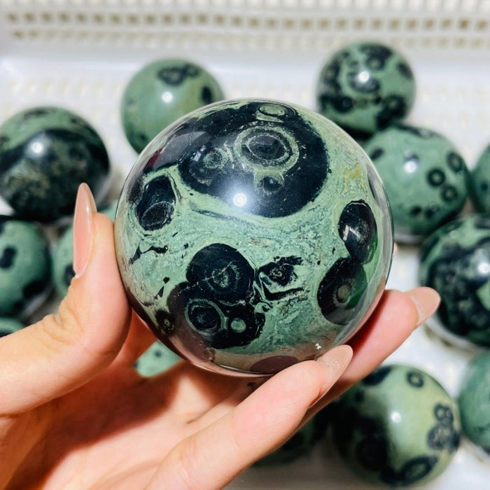 16 Pieces Kambaba Jasper Spheres