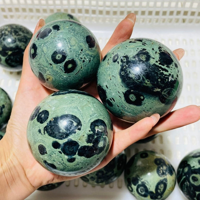 16 Pieces Kambaba Jasper Spheres