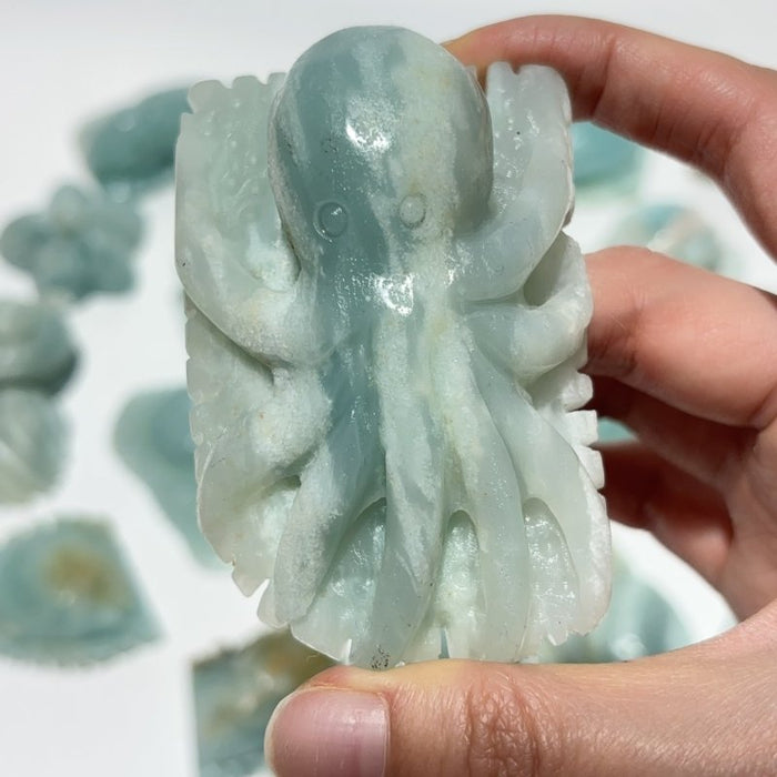 18 Pieces Caribbean Calcite Sea Animals Carving Wholesale