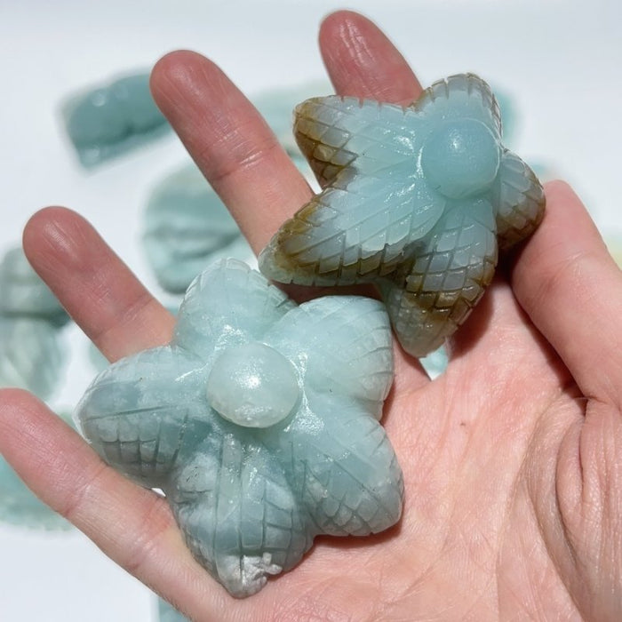 18 Pieces Caribbean Calcite Sea Animals Carving Wholesale