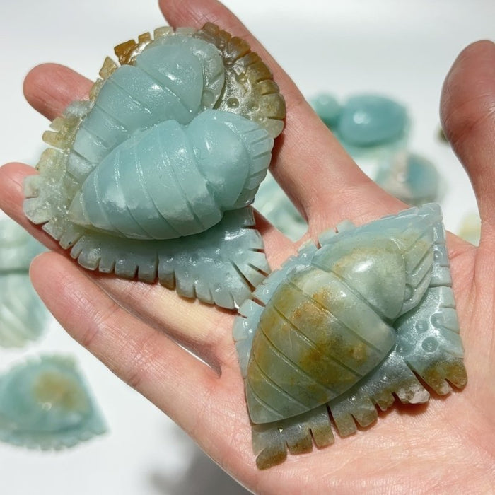 18 Pieces Caribbean Calcite Sea Animals Carving Wholesale