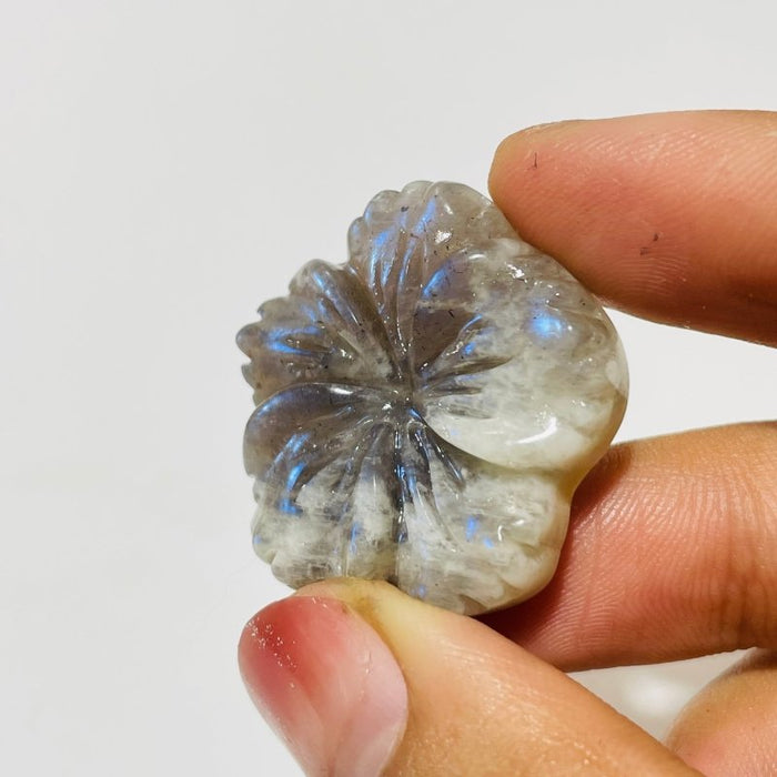 18 Pieces Moonstone Mixed Sunstone Flower Carving