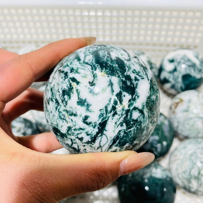 18 Pieces Moss Agate Spheres Clearance