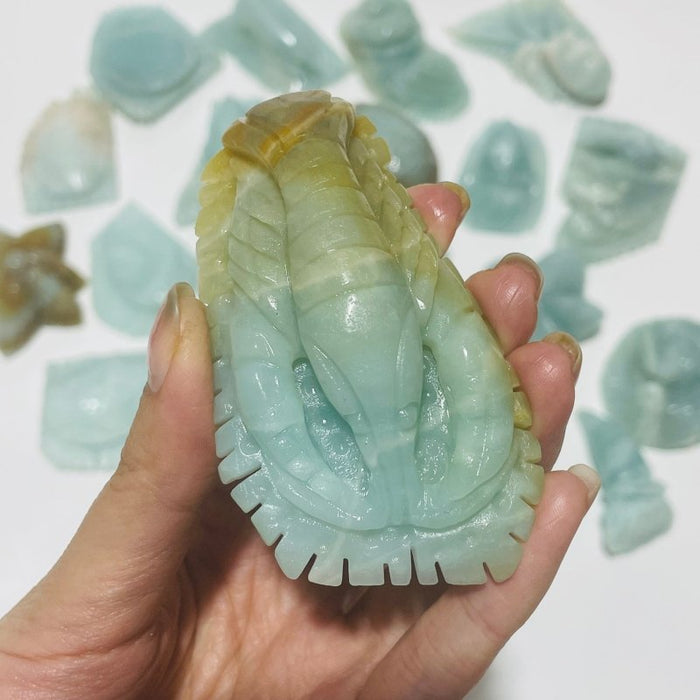 19 Pieces Caribbean Calcite Marine Animals Carving