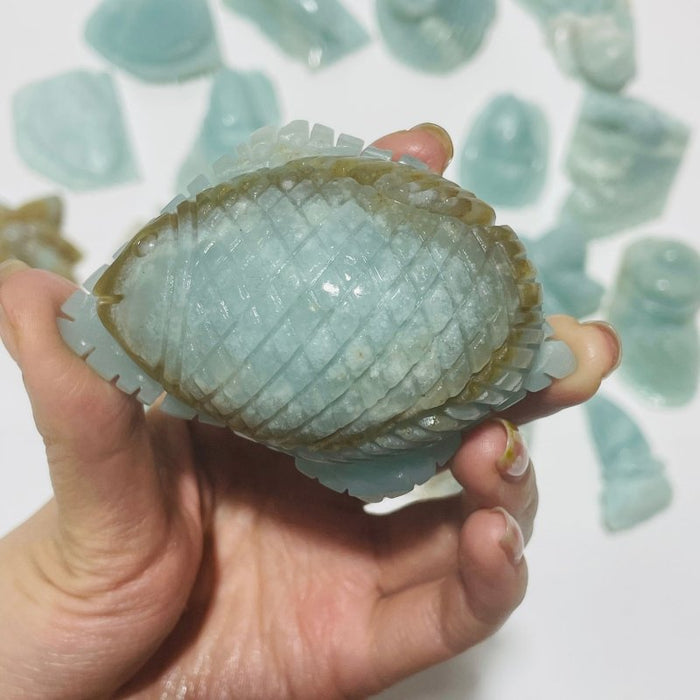 19 Pieces Caribbean Calcite Marine Animals Carving