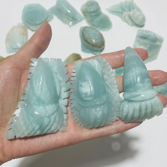 19 Pieces Caribbean Calcite Marine Animals Carving
